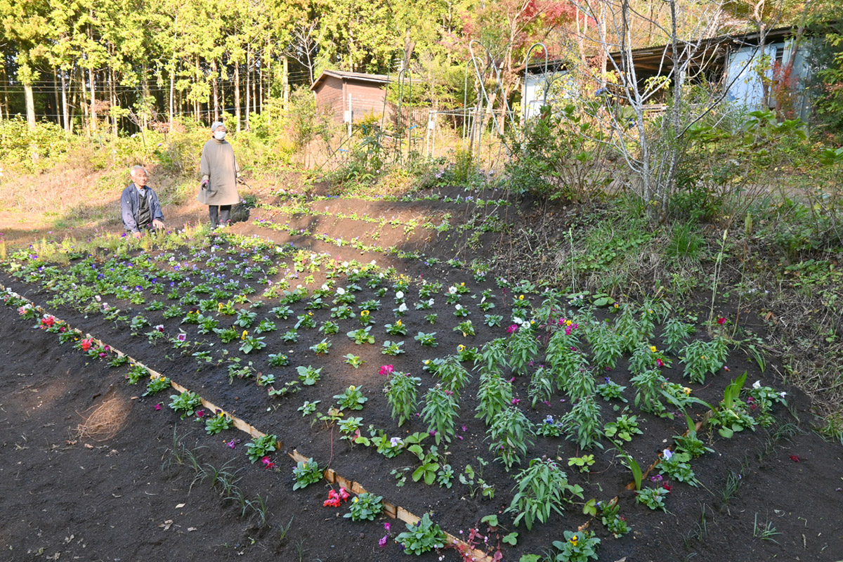 花畑農園