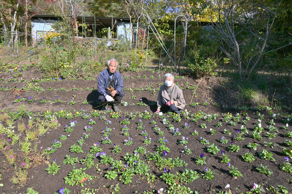 花畑農園